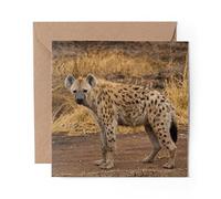 1 x Greeting Card Hyena Savannah Wild Animals - Blank Birthday Celebration Anniversary #3375