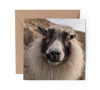 1 x Greeting Card Icelandic Sheep Lamb Farm - Blank Birthday Celebration Anniversary #16256