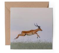 1 x Greeting Card - Impala Gazelle Africa Wild Animal - Blank Birthday Celebration Anniversary #51226