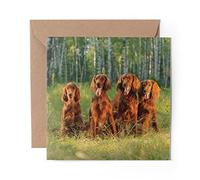 1 x Greeting Card Irish Red Setter Family Dog - Blank Birthday Celebration Anniversary #3389