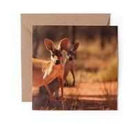 1 x Greeting Card Kangaroo Australia Wild Animal Cute - Blank Birthday Celebration Anniversary #8528