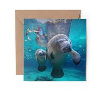 1 x Greeting Card Manatee Mum & Baby Florida USA - Blank Birthday Celebration Anniversary #45663