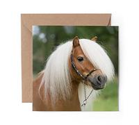 1 x Greeting Card Mini Shetland Pony Horse - Blank Birthday Celebration Anniversary #15673