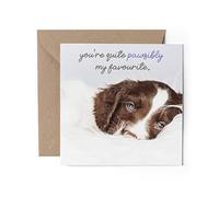 1 x Greeting Card - My Favourite Springer Spaniel Puppy Dogs Pets Happy Birthday Animals Love Wife Partner Mum Dad Girls Boys Friend #79795