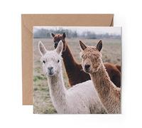 1 x Greeting Card Pack Of Alpacas Llama Alpaca Herd - Blank Birthday Celebration Anniversary #16862