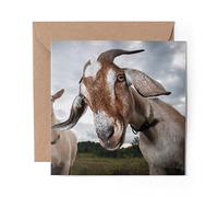 1 x Greeting Card Pair of Goats Goat - Blank Birthday Celebration Anniversary #45106