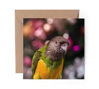 1 x Greeting Card Parakeet Parrot Yellow Green Black Bird - Blank Birthday Celebration Anniversary #45989