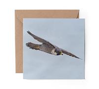 1 x Greeting Card Peregrine Falcon New Jersey - Blank Birthday Celebration Anniversary #3564
