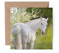 1 x Greeting Card - Pretty White Horse Pony Horses - Blank Birthday Celebration Anniversary #51806