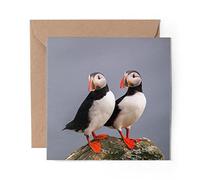 1 x Greeting Card Puffin Couple Pelagic Sea - Blank Birthday Celebration Anniversary #14150