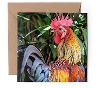 1 x Greeting Card - Red Bantam Chicken Rooster Bird - Blank Birthday Celebration Anniversary #51855