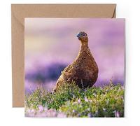 1 x Greeting Card - Red Grouse Moor Wild Bird - Blank Birthday Celebration Anniversary #51868