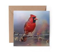 1 x Greeting Card Red Northern Cardinal Bird - Blank Birthday Celebration Anniversary #12600