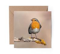 1 x Greeting Card Red Robin Bird Garden Cute - Blank Birthday Celebration Anniversary #2062
