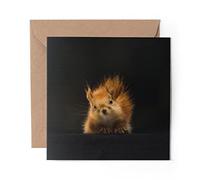 1 x Greeting Card Red Squirrel Nature - Blank Birthday Celebration Anniversary #13158