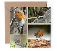 1 x Greeting Card - Robin Redbreast Garden Bird - Blank Birthday Celebration Anniversary #63249