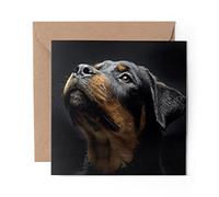 1 x Greeting Card Rottweiler Dog Animals Pets - Blank Birthday Celebration Anniversary #8616