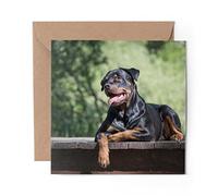 1 x Greeting Card Rottweiler Dog Pets Animals - Blank Birthday Celebration Anniversary #8629
