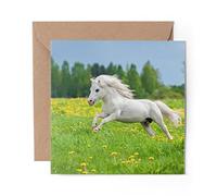 1 x Greeting Card Running White Shetland Pony - Blank Birthday Celebration Anniversary #15661