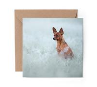 1 x Greeting Card - Russian Toy Terrer Dog in Meadow - Blank Birthday Celebration Anniversary #51943