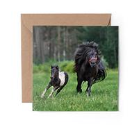 1 x Greeting Card Shetland Pony Foal Horse Kids Girls - Blank Birthday Celebration Anniversary #24183