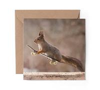 1 x Greeting Card Skateboarding Squirrel - Blank Birthday Celebration Anniversary #15699