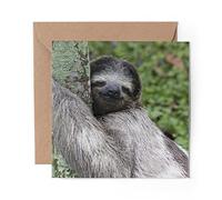 1 x Greeting Card Sleepy Sloth Lazy Cute - Blank Birthday Celebration Anniversary #15836