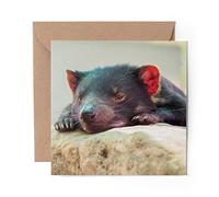 1 x Greeting Card Sleepy Tasmanian Devil Animal - Blank Birthday Celebration Anniversary #2202