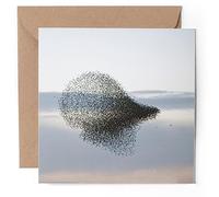 1 x Greeting Card - Starling Bird Flock Wild Nature - Blank Birthday Celebration Anniversary #53441
