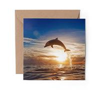 1 x Greeting Card Sunset Jumping Dolphin at Sea - Blank Birthday Celebration Anniversary #21202