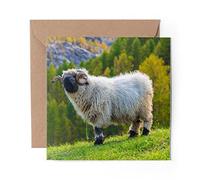 1 x Greeting Card Swiss Alps Valais Blacknose Sheep - Blank Birthday Celebration Anniversary #46345