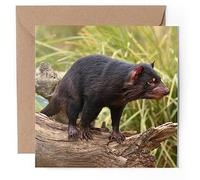 1 x Greeting Card - Tasmanian Devil Wild Animal Australia - Blank Birthday Celebration Anniversary #52228
