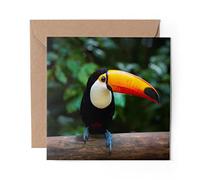 1 x Greeting Card Toucan Bird Tropical Jungle - Blank Birthday Celebration Anniversary #15772