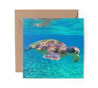 1 x Greeting Card Tropical Sea Turtle Ocean Wild Surf - Blank Birthday Celebration Anniversary #24170