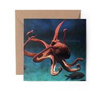1 x Greeting Card Underwater Octopus Ocean Sea - Blank Birthday Celebration Anniversary #8329