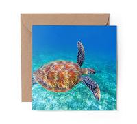1 x Greeting Card Underwater Turtle Swimming Ocean - Blank Birthday Celebration Anniversary #14587