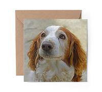 1 x Greeting Card Welsh Springer Spaniel Dog Puppy - Blank Birthday Celebration Anniversary #16838
