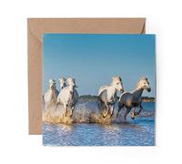 1 x Greeting Card White Horses Horse Beach - Blank Birthday Celebration Anniversary #3161
