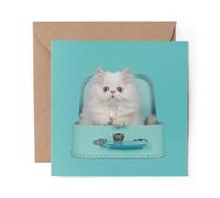 1 x Greeting Card White Persian Longhair Kitten Cat Cute - Blank Birthday Celebration Anniversary #24433