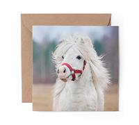 1 x Greeting Card White Shetland Pony Animals Pets Cute - Blank Birthday Celebration Anniversary #8337
