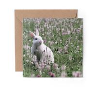 1 x Greeting Card White Wild Rabbit Nature Meadow Flowers - Blank Birthday Celebration Anniversary #46427