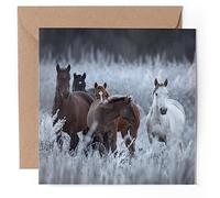 1 x Greeting Card - Wild Horses Horse Winter - Blank Birthday Celebration Anniversary #53572