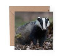 1 x Greeting Card Wild Native European Badger Animal - Blank Birthday Celebration Anniversary #46437