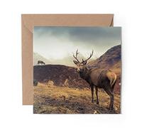 1 x Greeting Card Wild Stag Deer Glencoe Scotland - Blank Birthday Celebration Anniversary #15823