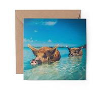 1 x Greeting Card Wild Swimming Pigs The Bahamas - Blank Birthday Celebration Anniversary #46443