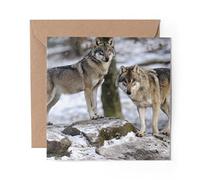 1 x Greeting Card Wild Wolves Animal Wolf Pack Winter - Blank Birthday Celebration Anniversary #8105
