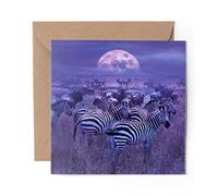 1 x Greeting Card Wild Zebra Herd Africa Safari Animals - Blank Birthday Celebration Anniversary #24464