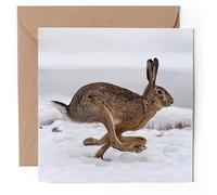 1 x Greeting Card - Winter Hare Running Rabbit Animal - Blank Birthday Celebration Anniversary #52497