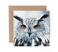 1 x Greeting Card Wise Owl Face Bird Birds - Blank Birthday Celebration Anniversary #46464