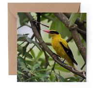 1 x Greeting Card - Yellow Asian Bird Black Naped Oriole - Blank Birthday Celebration Anniversary #52533